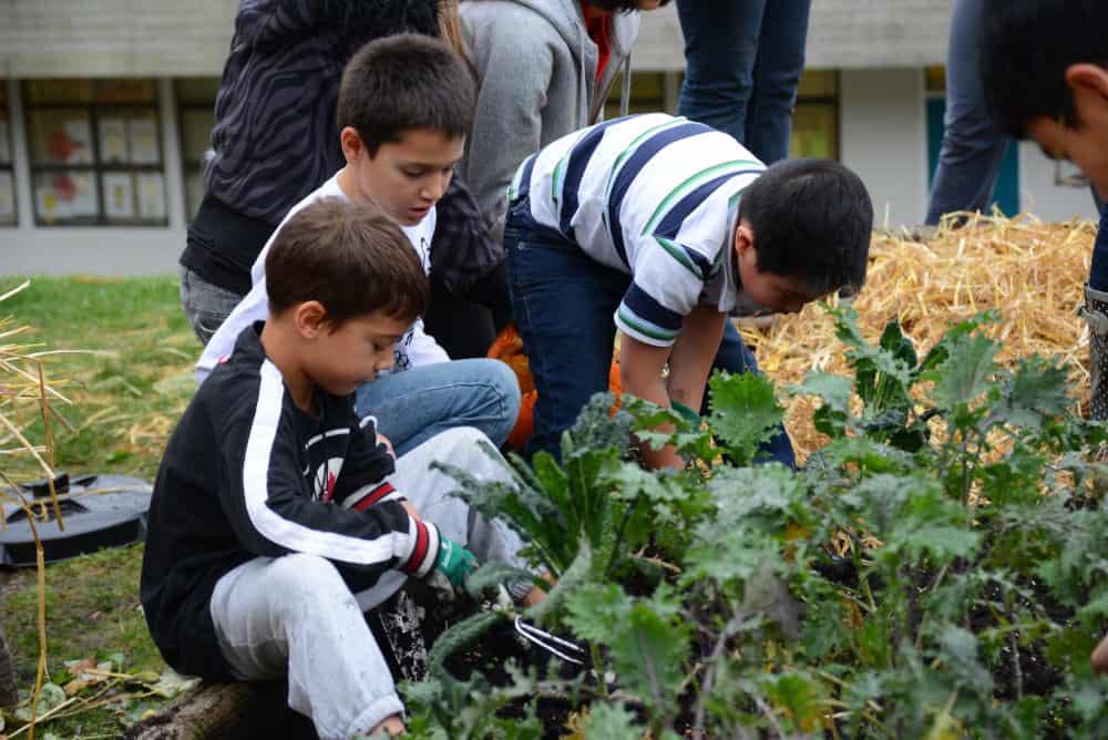 Boys working in garden