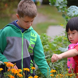 School Garden Programs