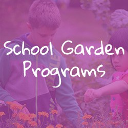 School Garden Programs
