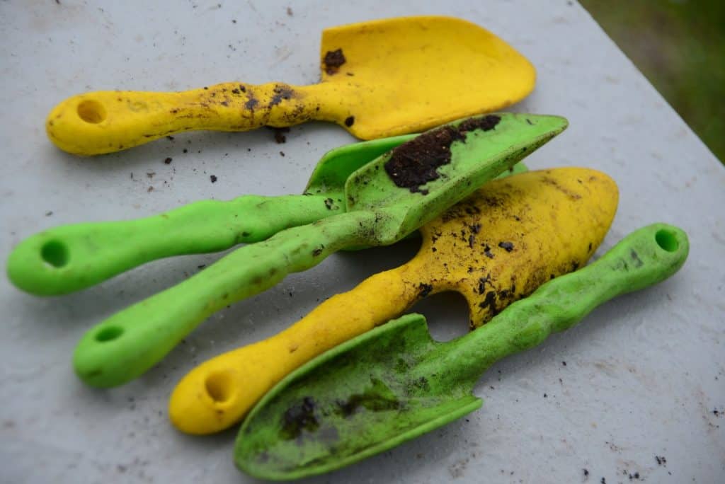Lessons Learned – Spring Seed Classes