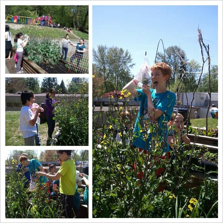 Kids who grow kale, EAT Kale!