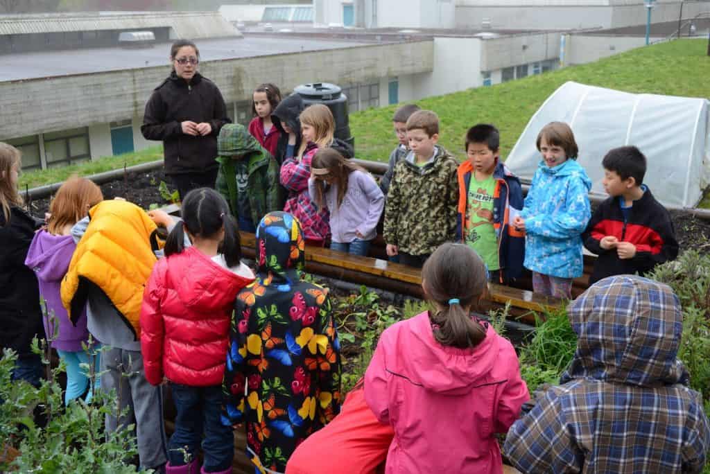 Lessons Learned – Spring Seed Classes