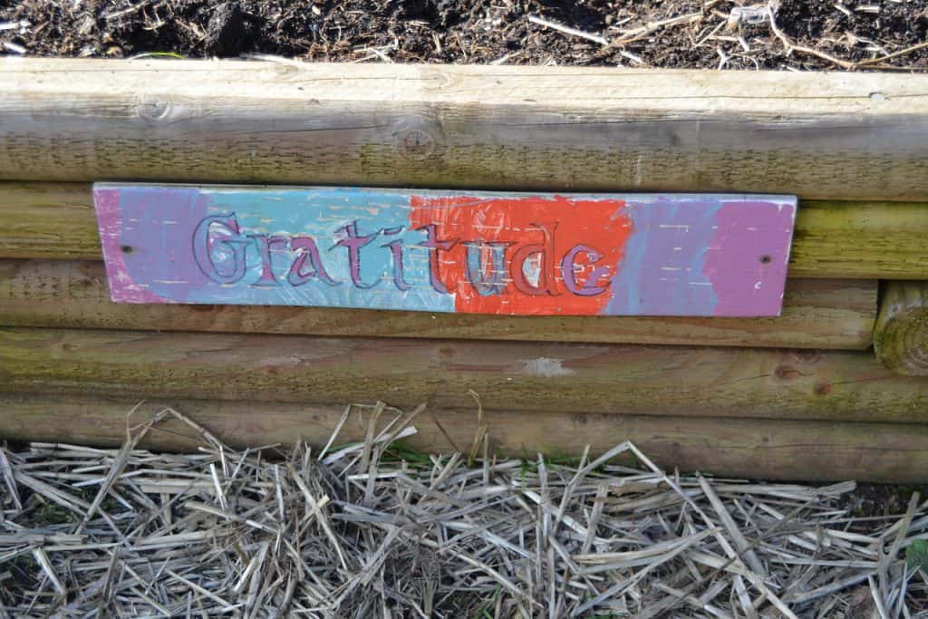 Gratitude for a Wonder Twin